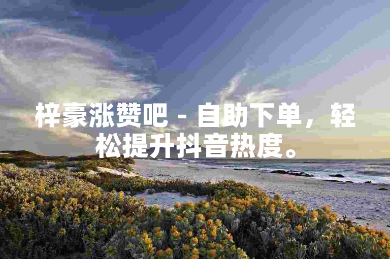梓豪涨赞吧 - 自助下单，轻松提升抖音热度。