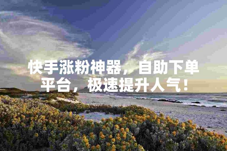 快手涨粉神器，自助下单平台，极速提升人气！