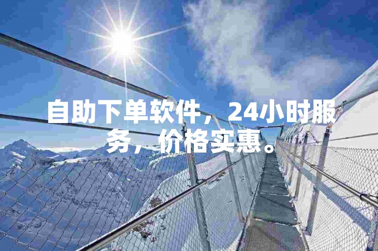 自助下单软件，24小时服务，价格实惠。