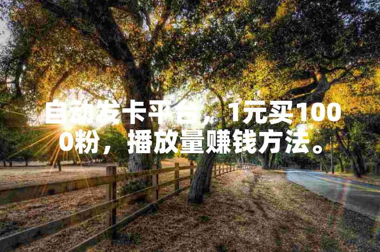 自动发卡平台，1元买1000粉，播放量赚钱方法。