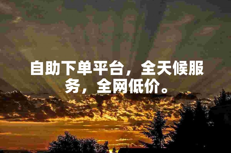 自助下单平台，全天候服务，全网低价。