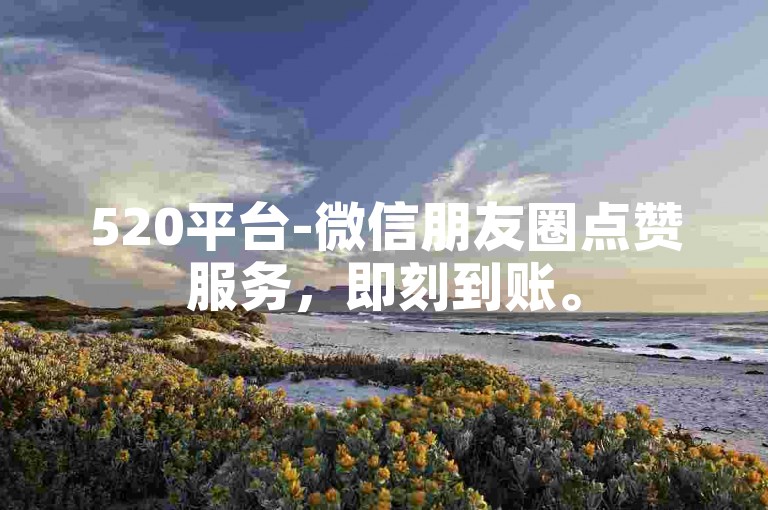 520平台-微信朋友圈点赞服务，即刻到账。
