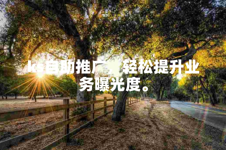 ks自助推广，轻松提升业务曝光度。