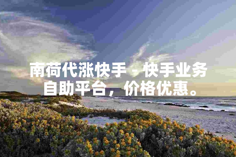 南荷代涨快手 - 快手业务自助平台，价格优惠。