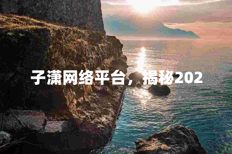 子潇网络平台，揭秘2025必备优化技巧！