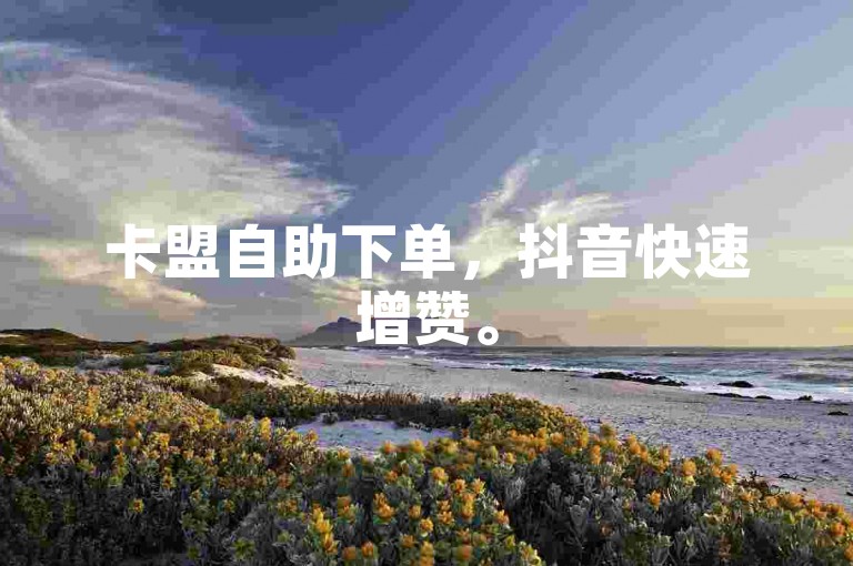卡盟自助下单，抖音快速增赞。