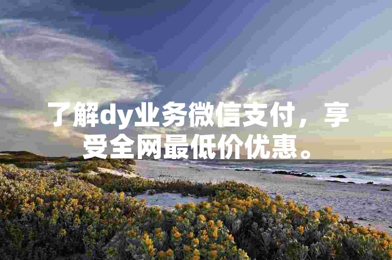 了解dy业务微信支付，享受全网最低价优惠。