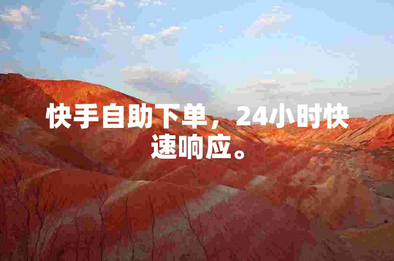 快手自助下单，24小时快速响应。