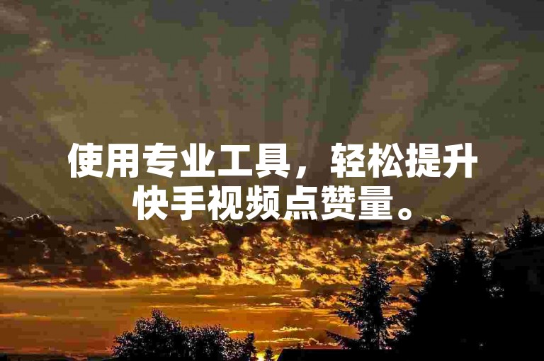 使用专业工具，轻松提升快手视频点赞量。