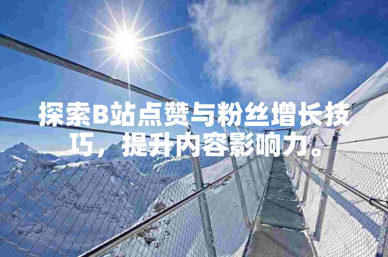 探索B站点赞与粉丝增长技巧，提升内容影响力。