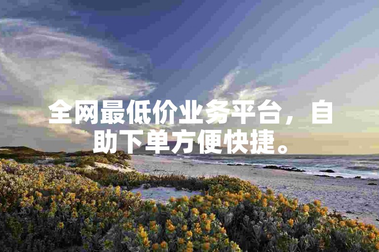 全网最低价业务平台，自助下单方便快捷。