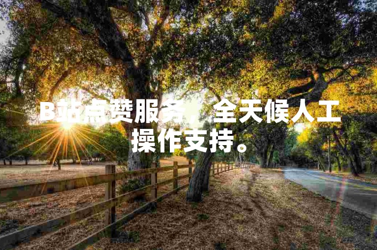 B站点赞服务，全天候人工操作支持。