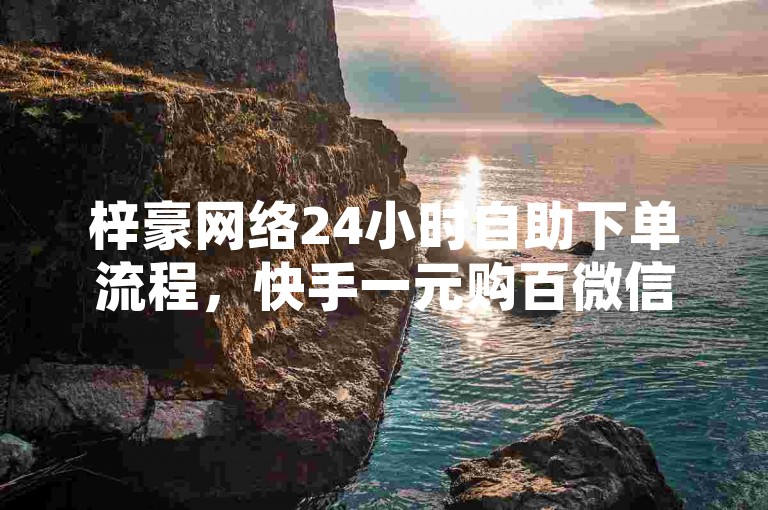 梓豪网络24小时自助下单流程，快手一元购百微信支付。