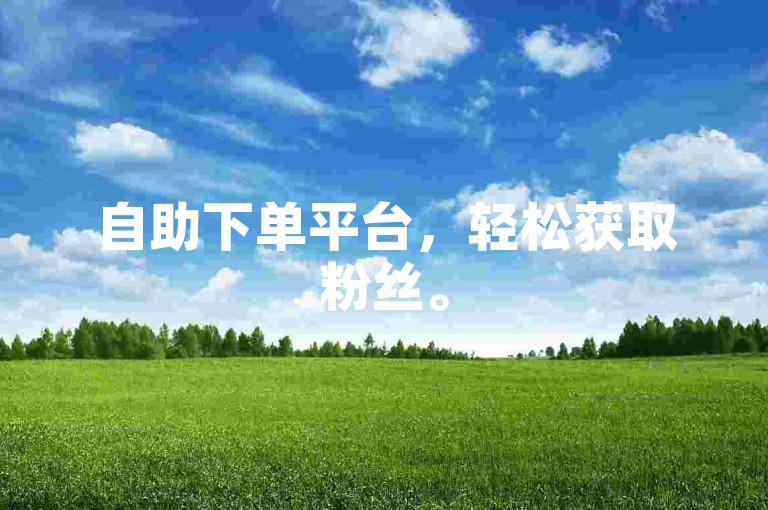 自助下单平台，轻松获取粉丝。