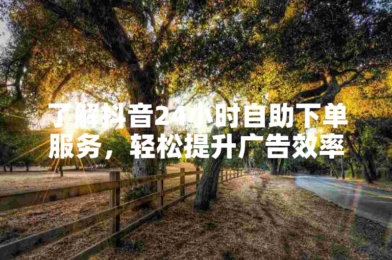 了解抖音24小时自助下单服务，轻松提升广告效率。