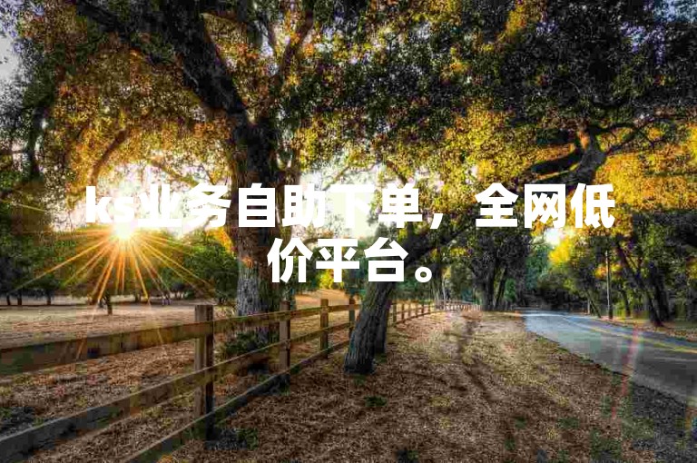 ks业务自助下单，全网低价平台。
