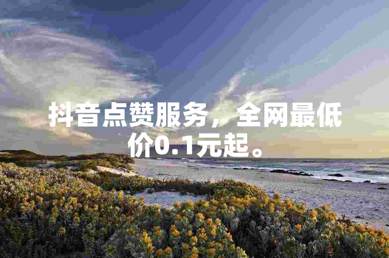 抖音点赞服务，全网最低价0.1元起。