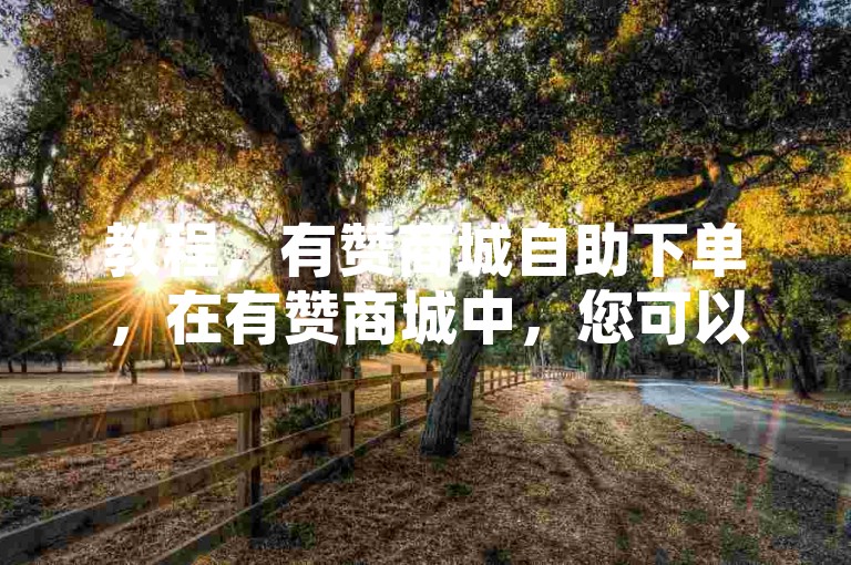 教程，有赞商城自助下单，在有赞商城中，您可以轻松实现自助下单操作。首先，登录您的商家账号，进入后台管理界面。然后，选择订单管理中的自助下单功能，按照提示填写相关信息并提交订单即可。