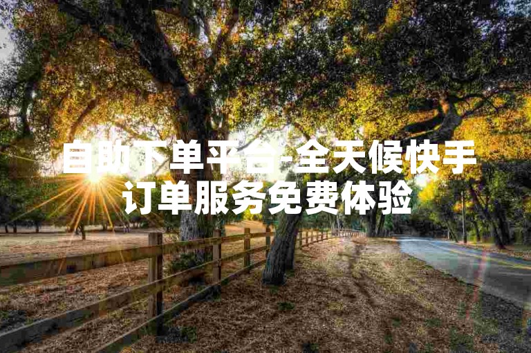 自助下单平台-全天候快手订单服务免费体验