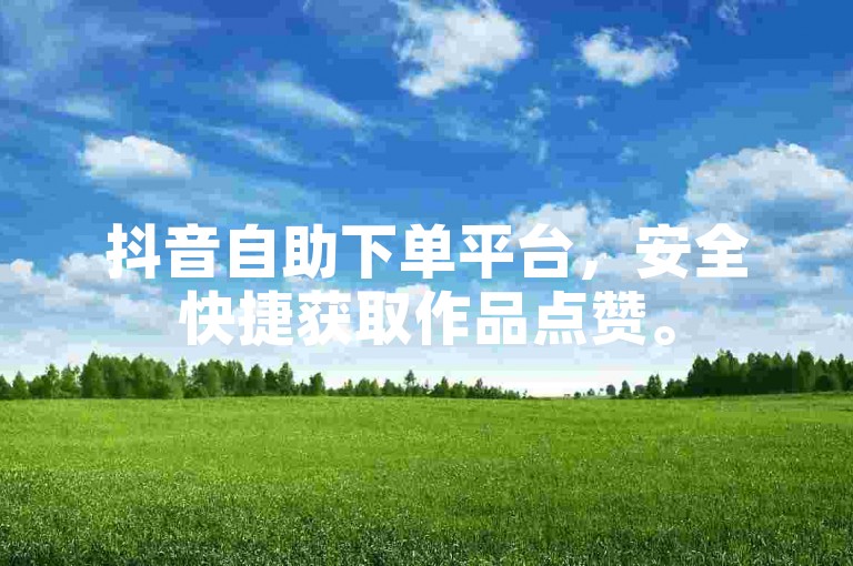 抖音自助下单平台，安全快捷获取作品点赞。