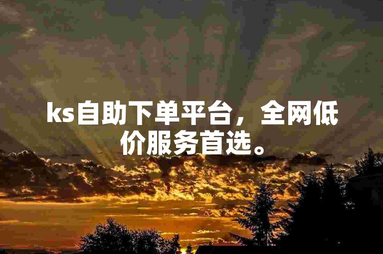ks自助下单平台，全网低价服务首选。