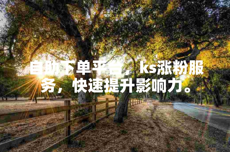 自助下单平台，ks涨粉服务，快速提升影响力。