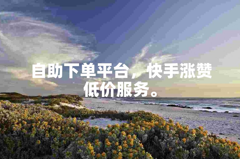 自助下单平台，快手涨赞低价服务。