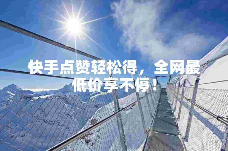 快手点赞轻松得，全网最低价享不停！