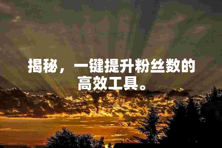 揭秘，一键提升粉丝数的高效工具。