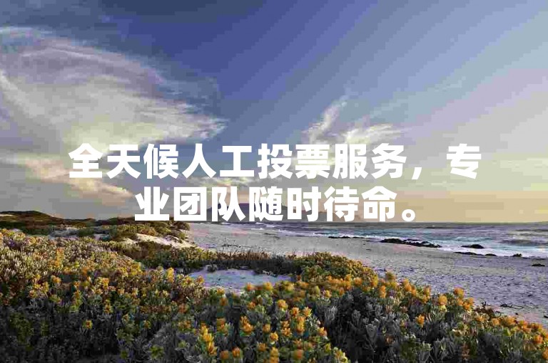 全天候人工投票服务，专业团队随时待命。