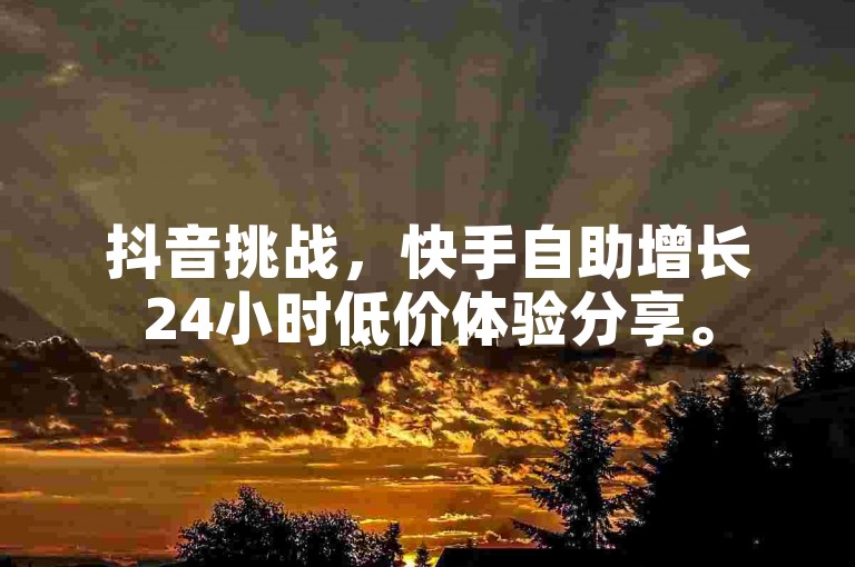 抖音挑战，快手自助增长24小时低价体验分享。