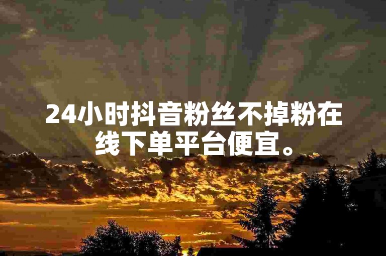 24小时抖音粉丝不掉粉在线下单平台便宜。