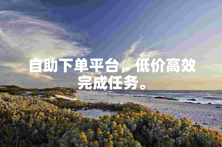 自助下单平台，低价高效完成任务。