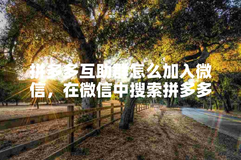 拼多多互助群怎么加入微信，在微信中搜索拼多多互助群并添加。