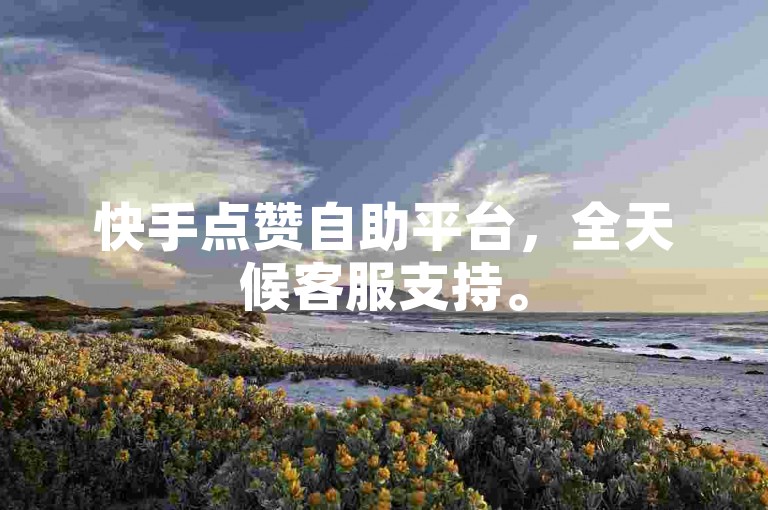 快手点赞自助平台，全天候客服支持。