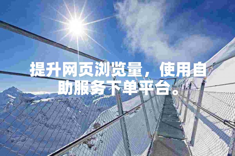 提升网页浏览量，使用自助服务下单平台。