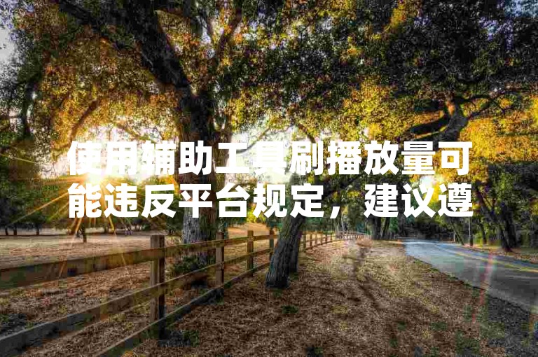使用辅助工具刷播放量可能违反平台规定，建议遵守规则。
