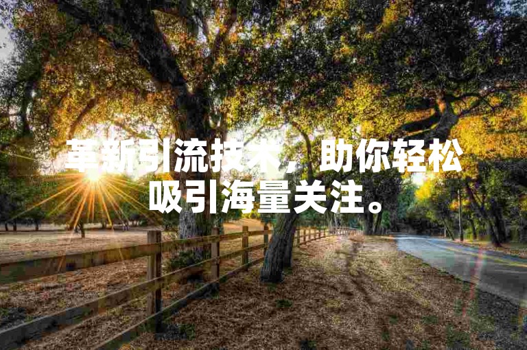 革新引流技术，助你轻松吸引海量关注。