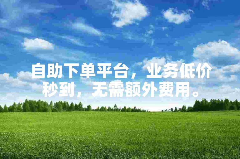 自助下单平台，业务低价秒到，无需额外费用。