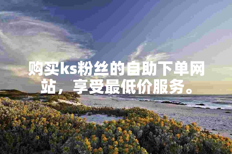 购买ks粉丝的自助下单网站，享受最低价服务。