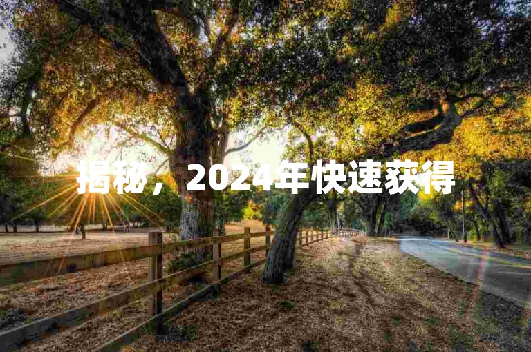 揭秘，2024年快速获得5000赞的秘诀！