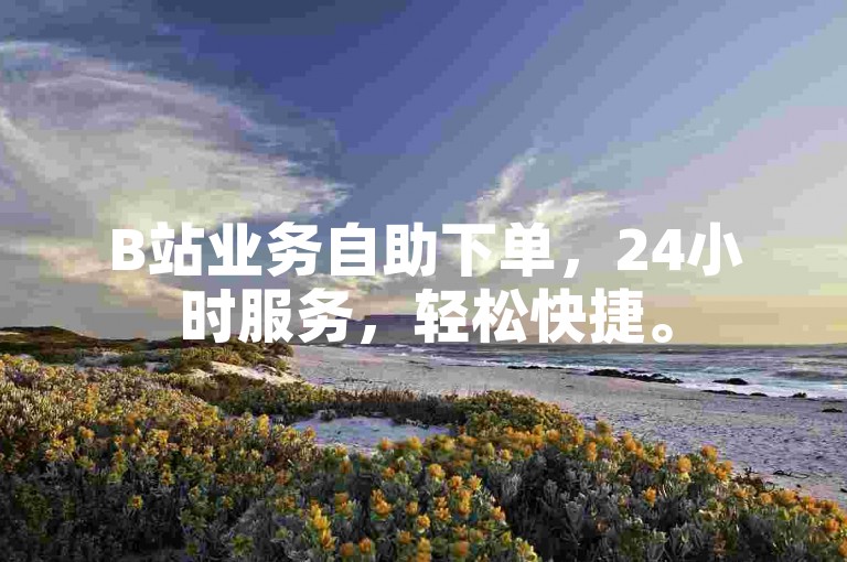 B站业务自助下单，24小时服务，轻松快捷。
