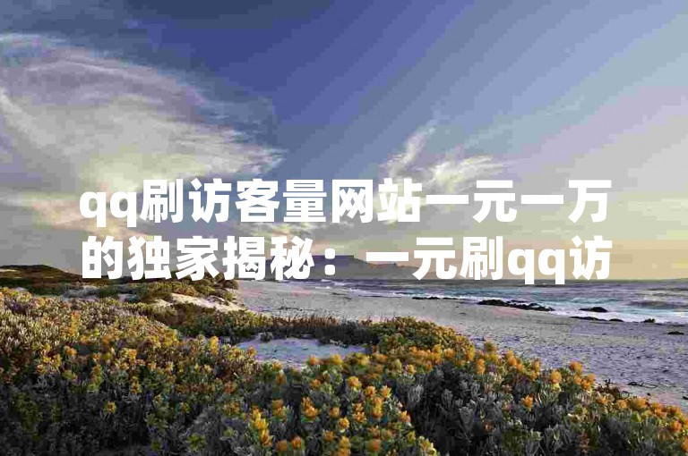 qq刷访客量网站一元一万的独家揭秘：一元刷qq访客量，网站流量高效提升！2025必学
