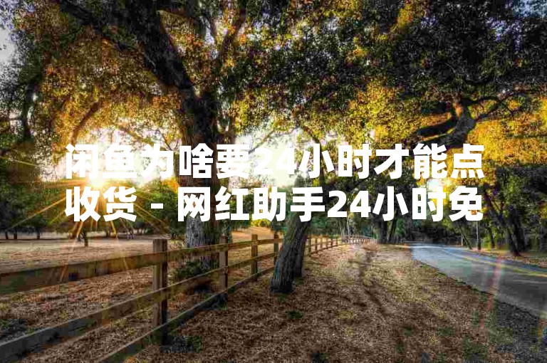 闲鱼为啥要24小时才能点收货 - 网红助手24小时免费下单